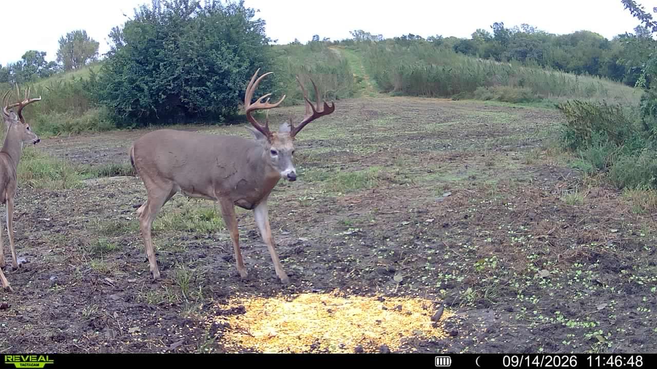 Listing Photo: Big Boy